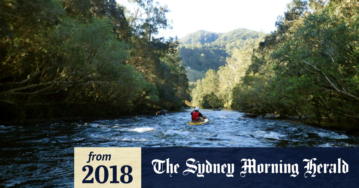 Woman drowns while kayaking with family on NSW Mid North Coast